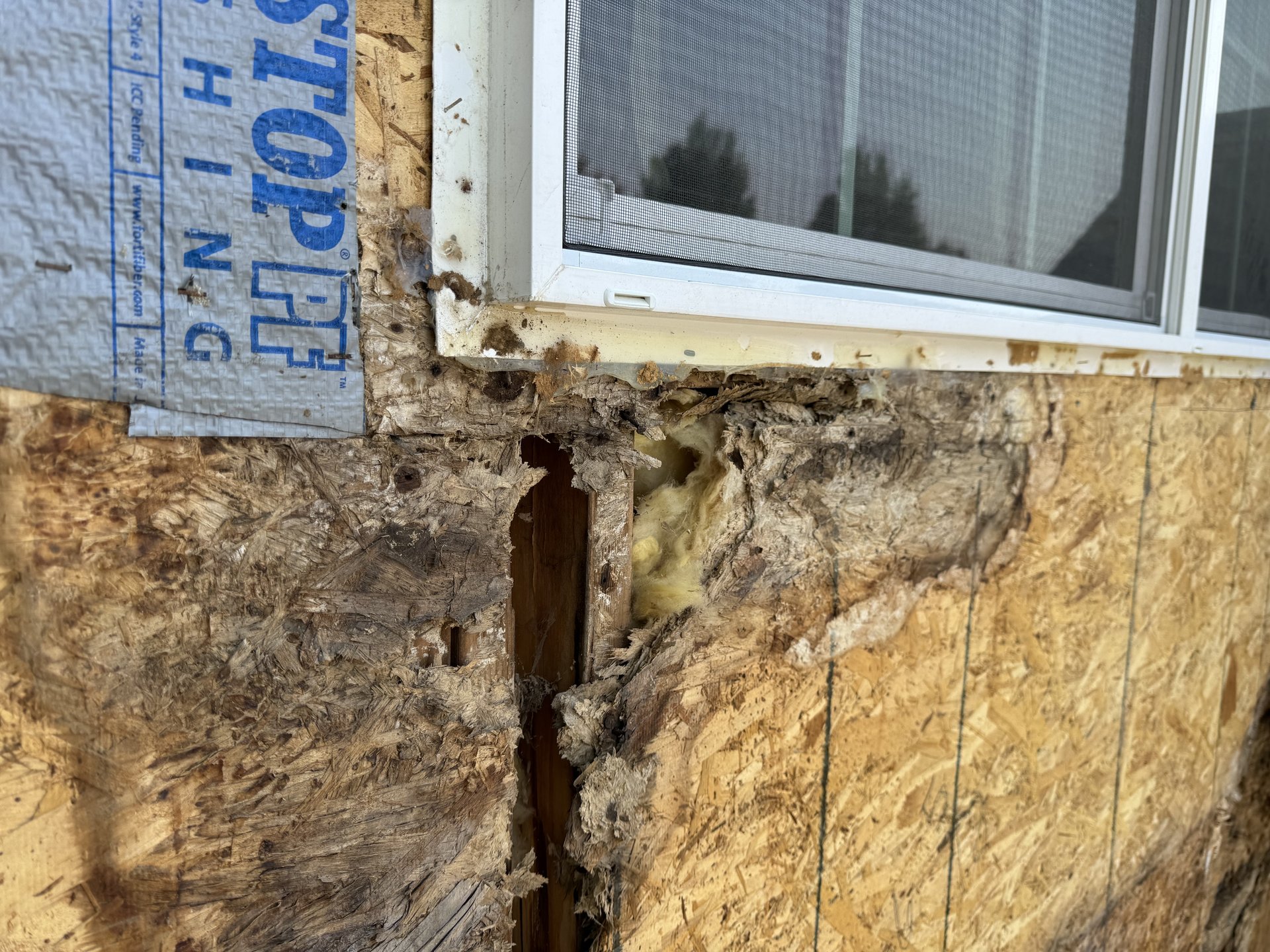 Water damage assessment