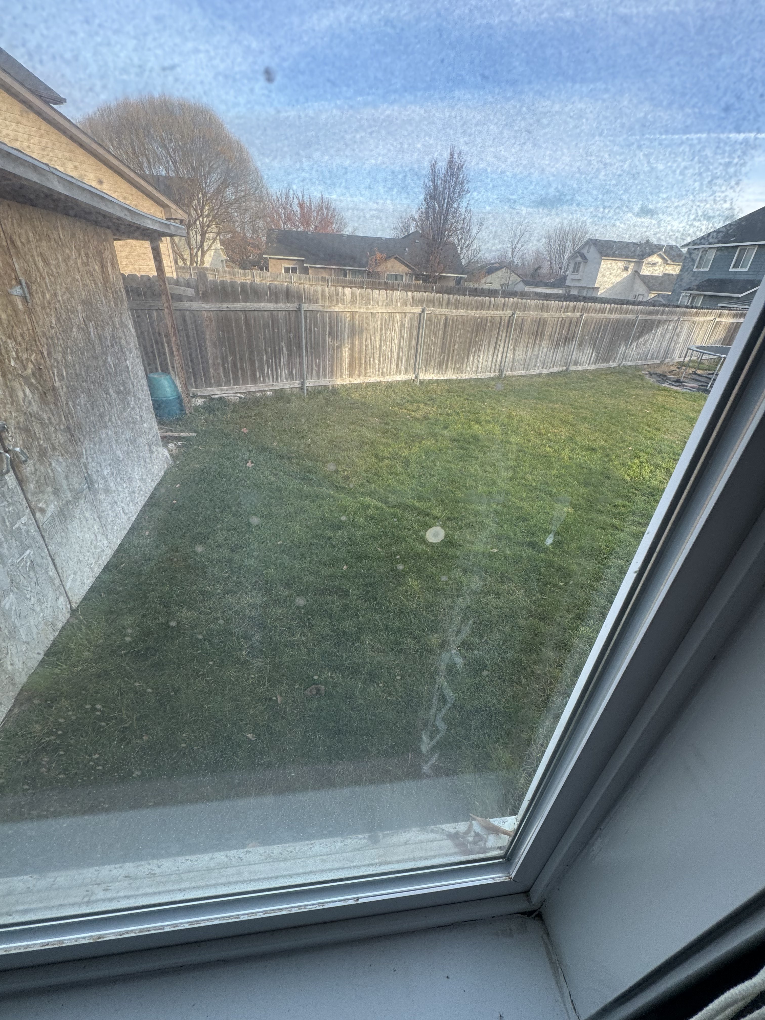 Mold growing between failed window panes